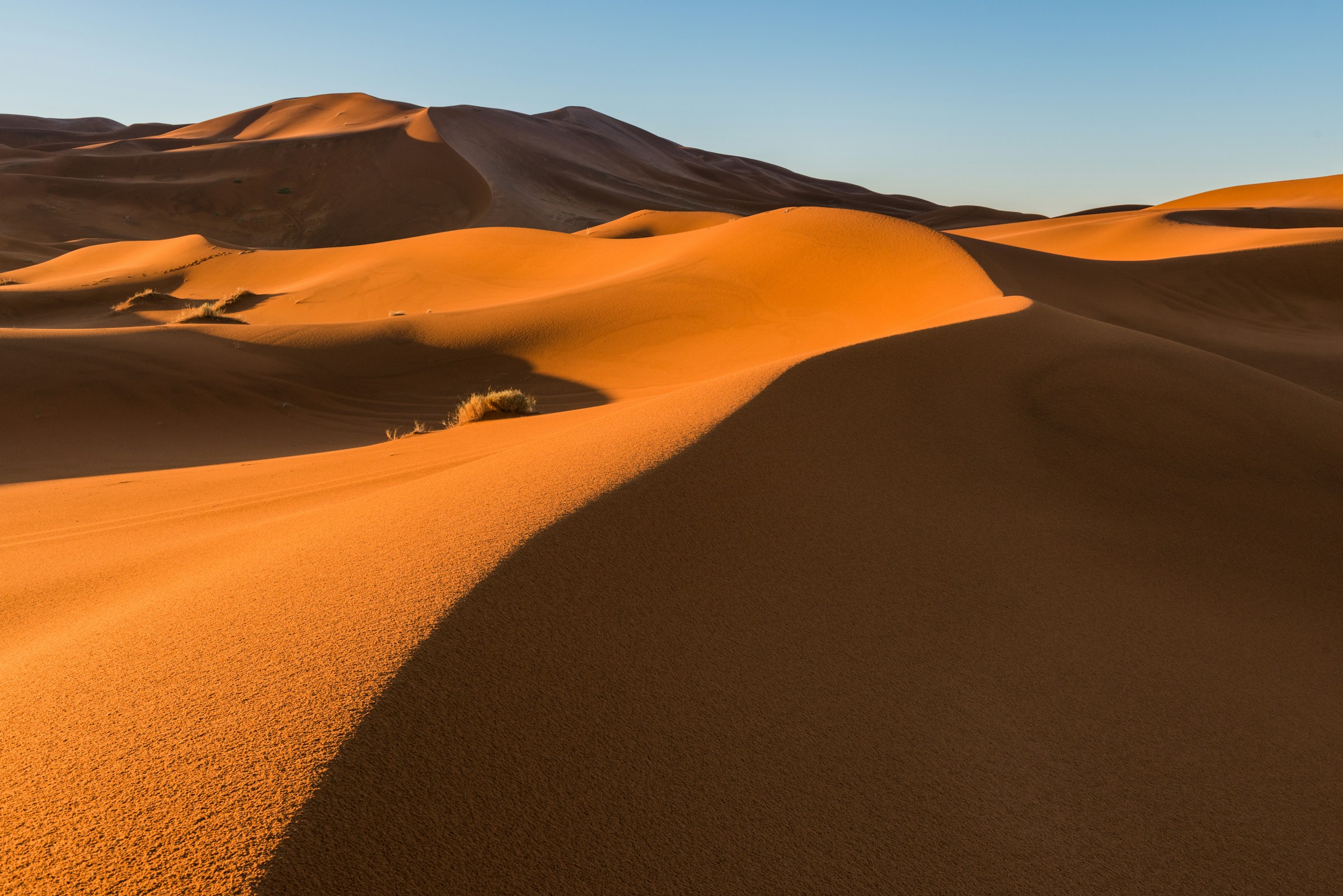 Dunas douradas de Merzouga, no Marrocos, banhadas pela luz do sol